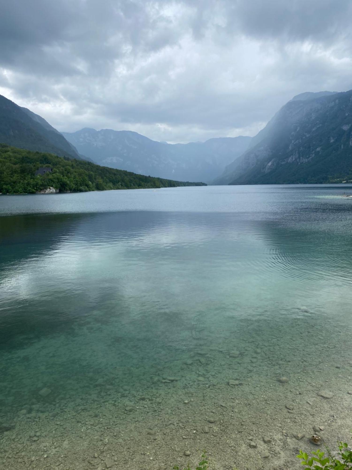 Luxury Apartment Near Lake Bohinj Εξωτερικό φωτογραφία